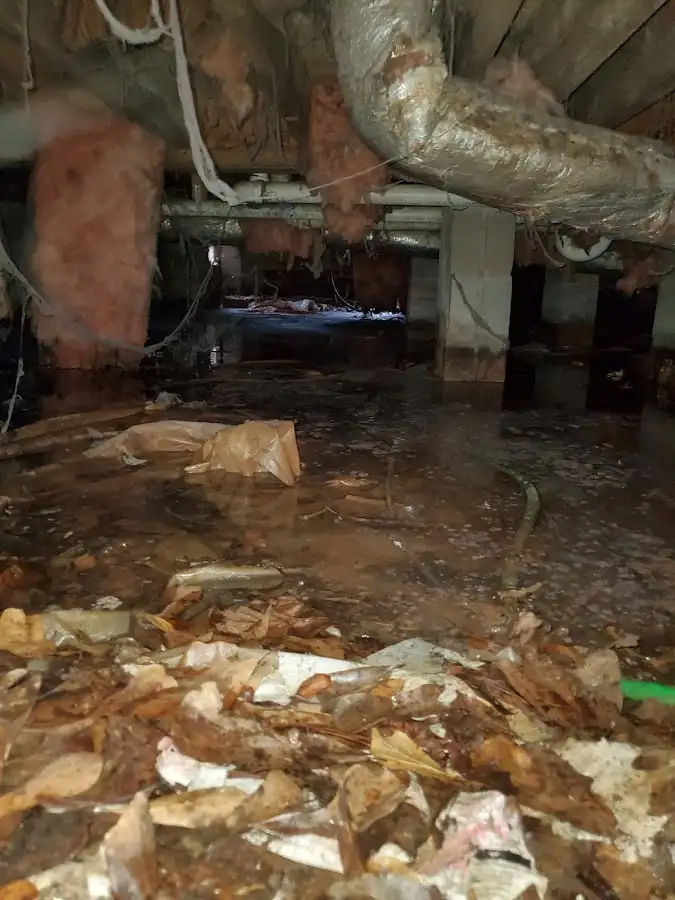 Crawl space flood assessment for Leak Detection & Repair in Kenner
